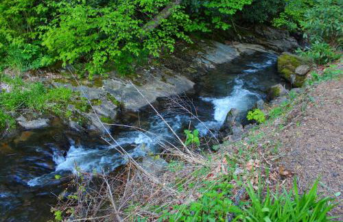 Roaring Creek - Photo 31