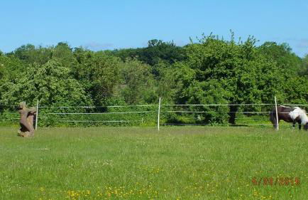 Rotes Haus - Foto 10