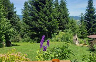 Miętowe Wzgórze "Sokoli Kamień" Dom z Widokiem na Wyłączność - Foto 20