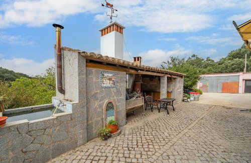 Horta Do Zé Miguel - Foto 7