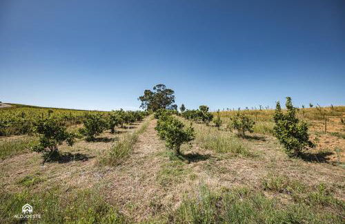 Quinta da Estima - Foto 60