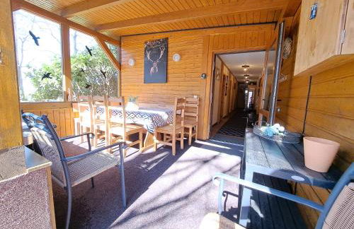 Ferienhaus Bucheneck perfekt für Familien & größere Gruppen im Seenland Lausitz - Foto 1