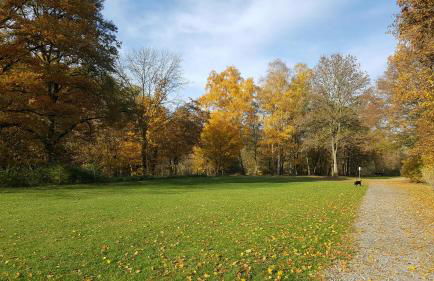 Ferienwohnung Blütenstadt - Foto 29