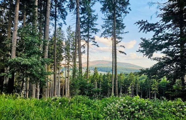 Holiday Home Harzhaus Time out - Photo 5