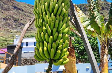 Cottage Pearl - Rural Holiday Experience by SeaPearl - Foto 20