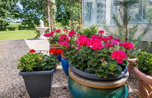 Ferienhäuser Ella Walter - Efeuhaus - Foto 11