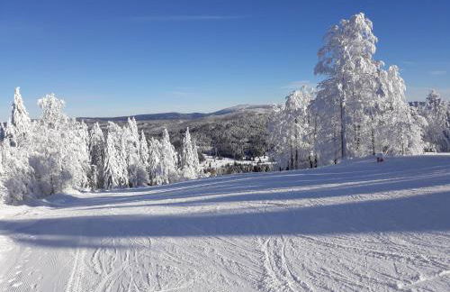 Apartment Almberg - Foto 39