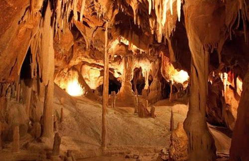 Casa da Palmeira - Foto 35