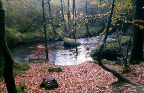 Stone House in Huelgoat, Brittany - Foto 35