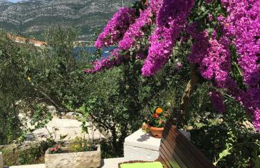 Apartments Laura - Foto 51