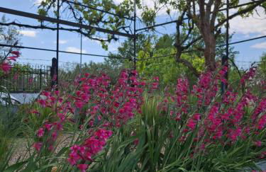 Ste's house at Macedonia Airport - Photo 50