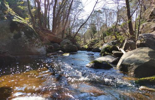 El Retiro de la Adrada AVILA - Foto 68