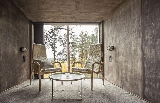 Tree Hotel - Foto 20