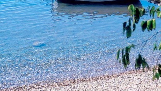 Apartments Bucic - Foto 2