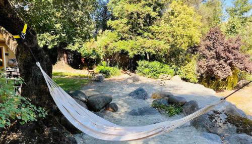 Sequoia Cabin by the River - Photo 2