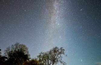 Elishaw Farm Holiday Cottages - Foto 4