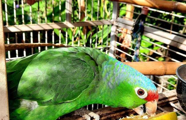 Cabañas Villa San Miguel - Photo 15