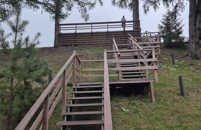 Siedlisko Milachowo luxury wellness - Photo 80