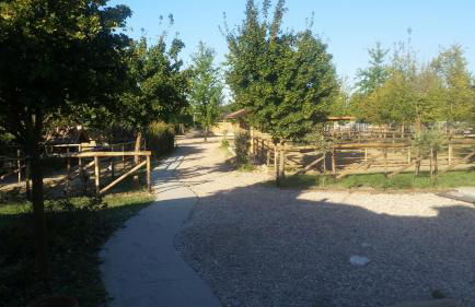 Agriturismo Corte Benetti - Foto 53