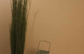 Schöne 2,5 Raum Wohnung Nähe Veltinsarena - Foto 19