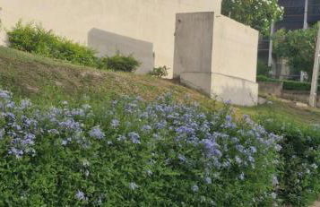 Flat Divina Paz Monte Castelo - Photo 44