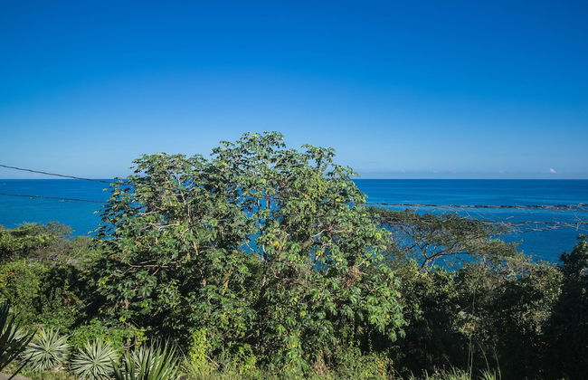 Tall Palms - Photo 20