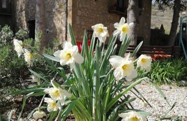 El Sosiego - Foto 15