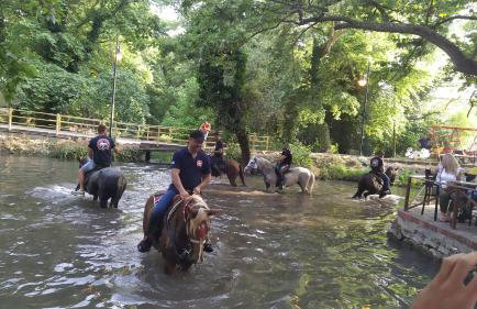 The Cozy Garden Villa - Foto 27