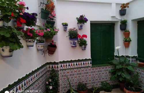 Alicante-Rental Alojamientos Turisticos CULTURAS Y COLORES EN ALMAGRO -Parking -Promocion EMPRESAS- - Foto 1