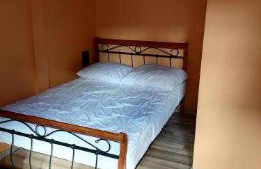 Całoroczny Domek Góry Bieszczady - Foto 9