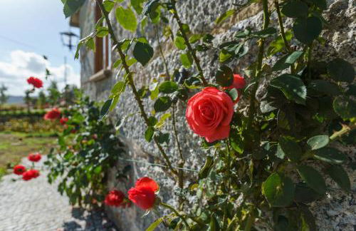 Azenha da Lavoura em Barrega - Foto 48