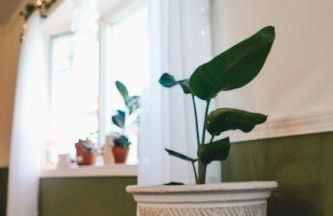 Rose Ranch - Charming Country Home - Foto 79