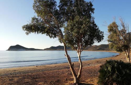 EL FARO DE LOS GENOVESES - Foto 25