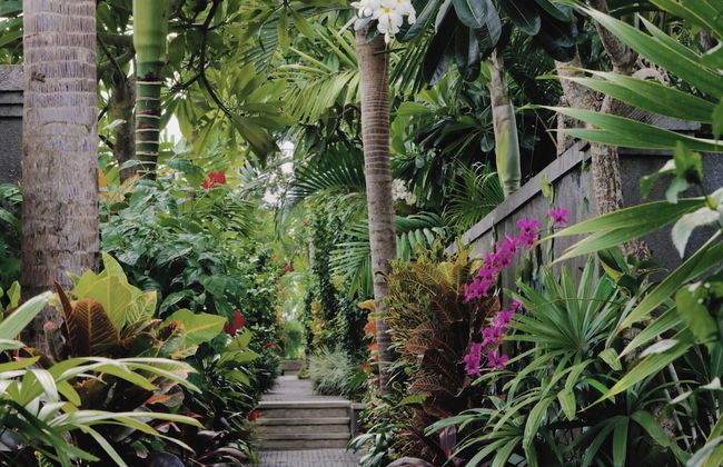 Aradhana Villas by Ekosistem - Foto 32