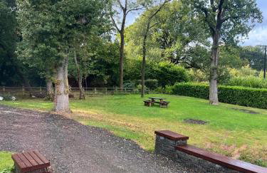 Apple Tree Apartment - Foto 38