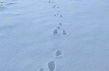 Przewietrzona Głowa - Foto 6