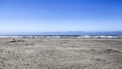 Walk to Beach! The Little Orcas Moclips Cottage - Foto 3