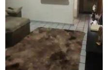 Apartamento para alugar são João campina grande - Foto 7