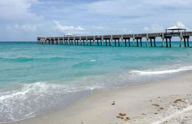 The Golden Hour - Foto 65