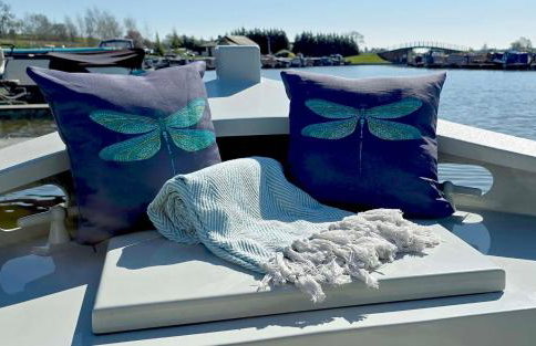 Dragonfly at Aston Marina - Photo 16