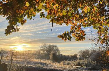 Willow Barn, Long Melford - Foto 18