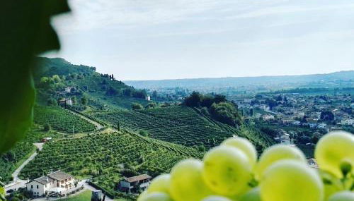 Agriturismo Al Credazzo - Foto 3