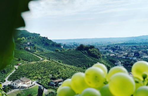 Agriturismo Al Credazzo - Foto 3