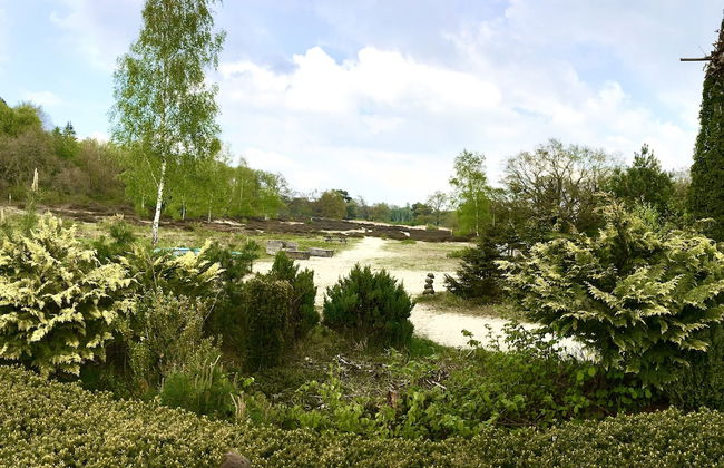 Holidaychalets Zuidlaren Tynaarlo - Photo 12