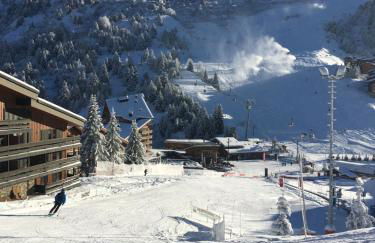 Skis aux pieds IN-OUT, Linge inclus, Parking et WIFI gratuits, proche du centre et tout confort, Mont Vallon Lodge Méribel Mottaret - Foto 26