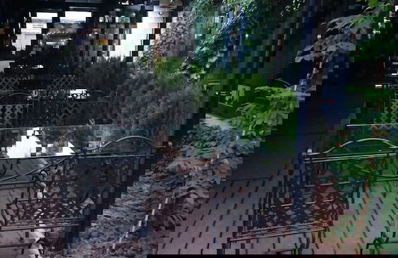 Apartments Carrera - Foto 28