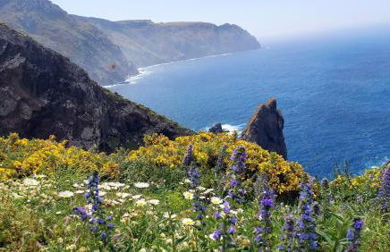 Apartamento La Ilusión - Cariño - Foto 31