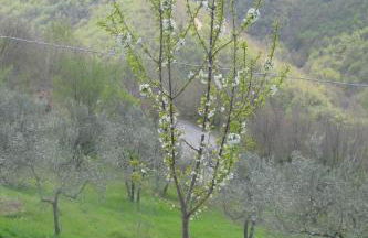 Luxury Casale Sabina Valley - Foto 51