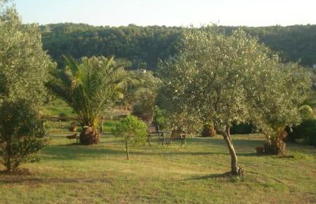 Ases Villa Lagonisi Halkidiki - Foto 33