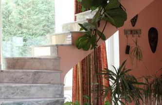 Six Steps From The Forest - Photo 54